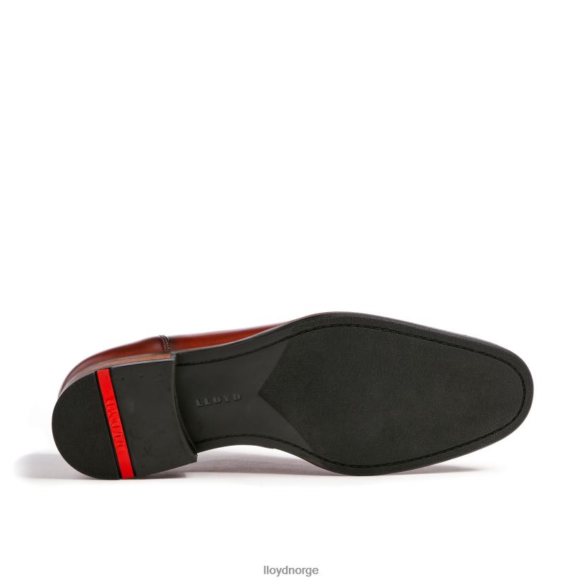 LLOYD santiago menn sko brun 4X82ZP238