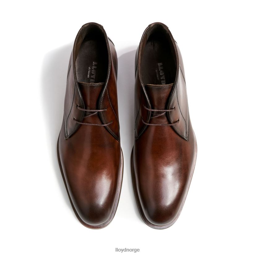 LLOYD santos menn sko brun 4X82ZP494