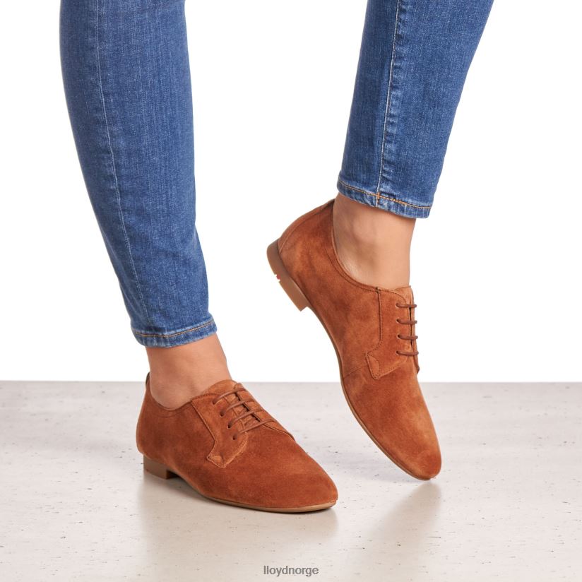 LLOYD semsket snøre halvsko kvinner sko brun 4X82ZP1185