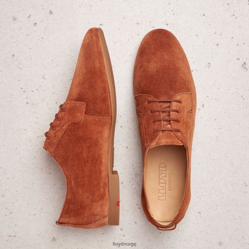 LLOYD semsket snøre halvsko kvinner sko brun 4X82ZP1185