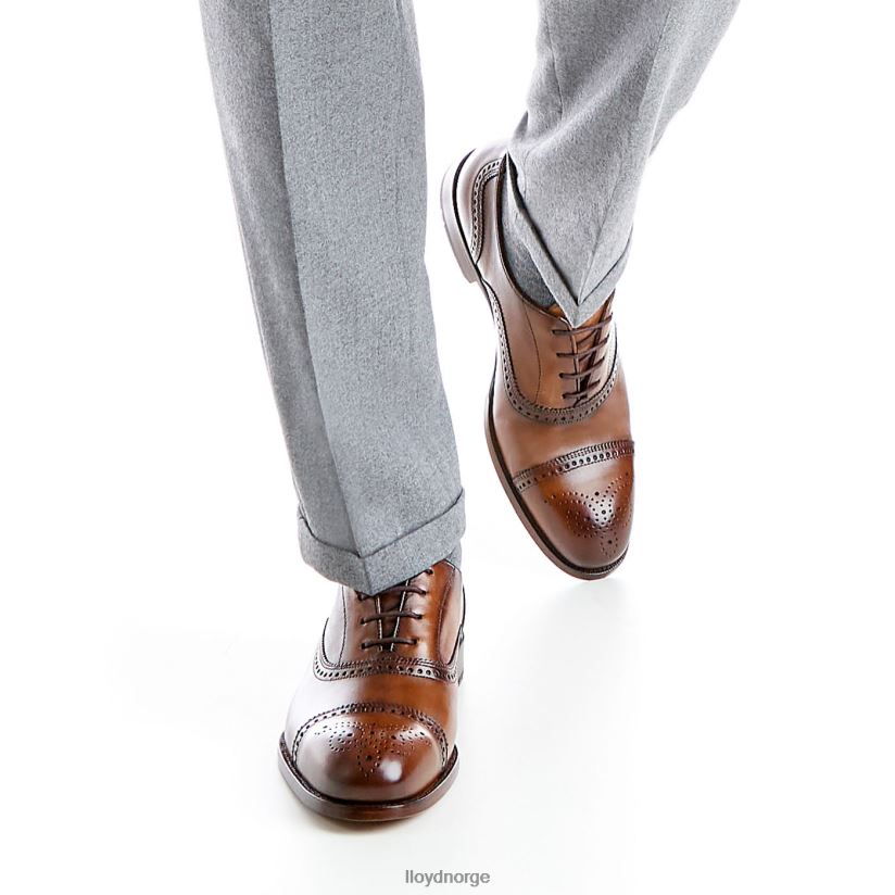 LLOYD sheffield menn sko brun 4X82ZP219