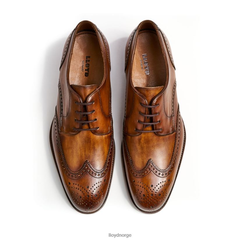 LLOYD sheridan menn sko brun 4X82ZP205