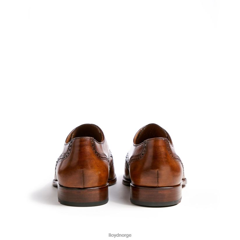 LLOYD sheridan menn sko brun 4X82ZP205