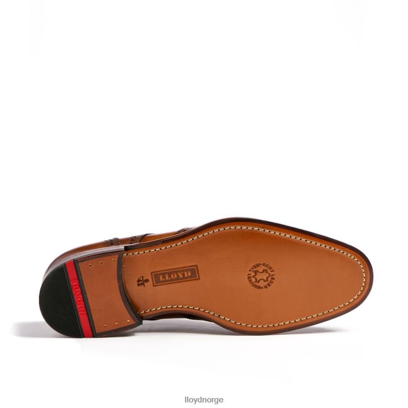 LLOYD sheridan menn sko brun 4X82ZP205