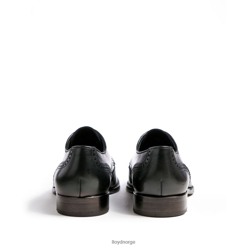 LLOYD sheridan menn sko svart 4X82ZP79