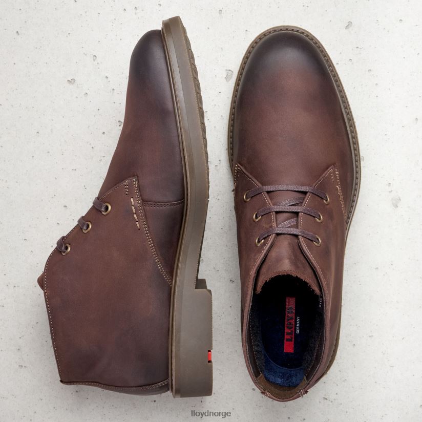 LLOYD skal menn sko brun 4X82ZP6