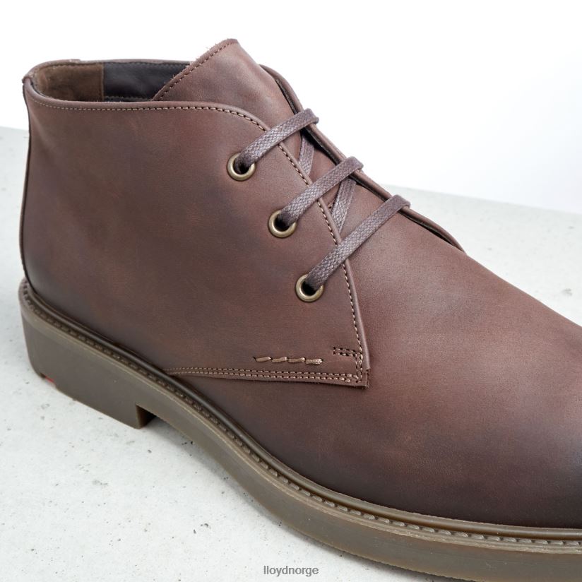 LLOYD skal menn sko brun 4X82ZP6