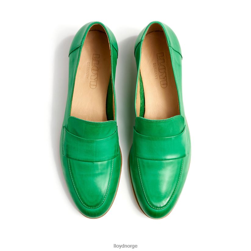 LLOYD skinntøffel kvinner sko grønn 4X82ZP1120