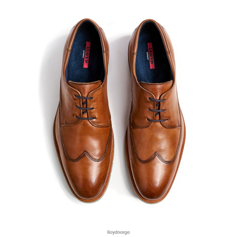 LLOYD skredder menn sko brun 4X82ZP1325