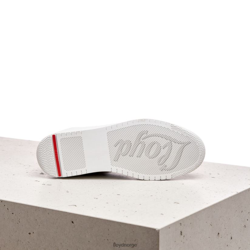 LLOYD sneakers i semsket skinn kvinner sko brun 4X82ZP819