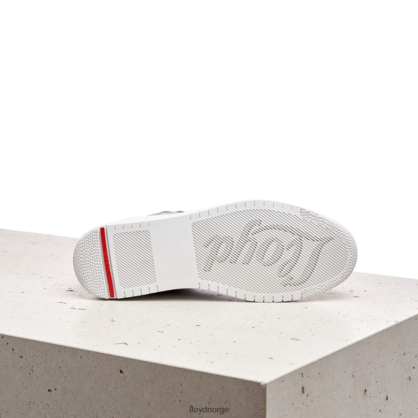 LLOYD sneakers i semsket skinn kvinner sko grønn 4X82ZP841