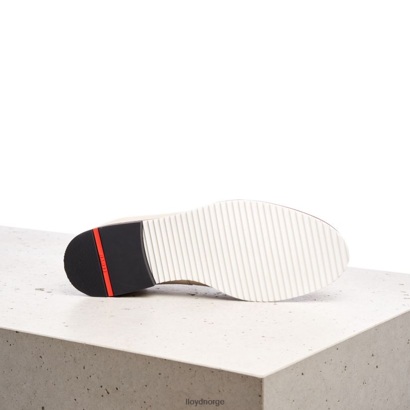 LLOYD snøre halve sko kvinner sko beige 4X82ZP1069