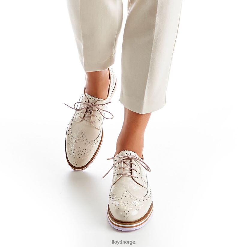 LLOYD snøre halve sko kvinner sko beige 4X82ZP1080