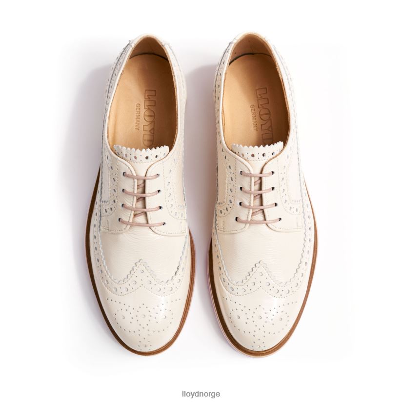 LLOYD snøre halve sko kvinner sko beige 4X82ZP1080