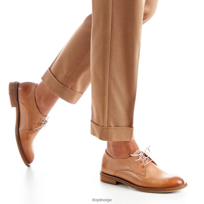 LLOYD snøre halve sko kvinner sko brun 4X82ZP1056