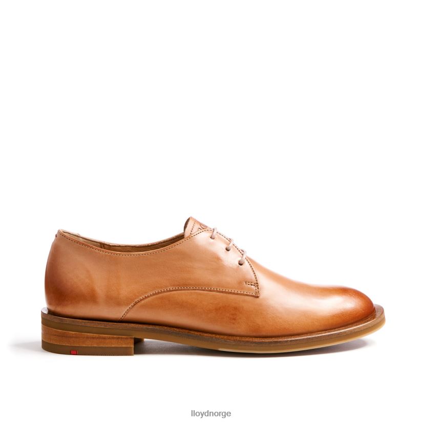 LLOYD snøre halve sko kvinner sko brun 4X82ZP1056