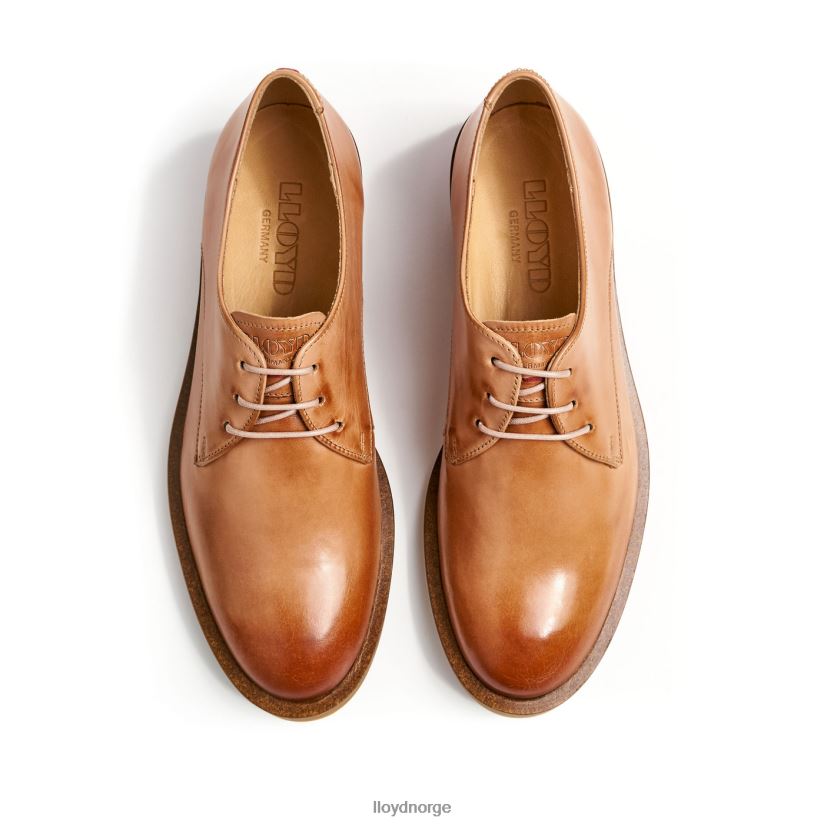 LLOYD snøre halve sko kvinner sko brun 4X82ZP1056