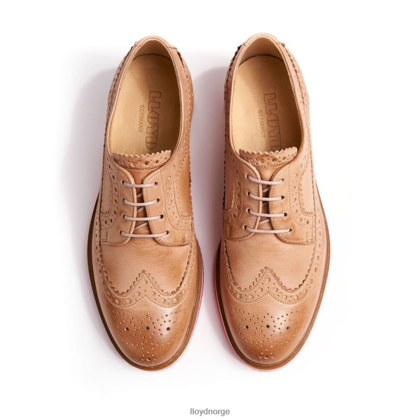 LLOYD snøre halve sko kvinner sko brun 4X82ZP1063