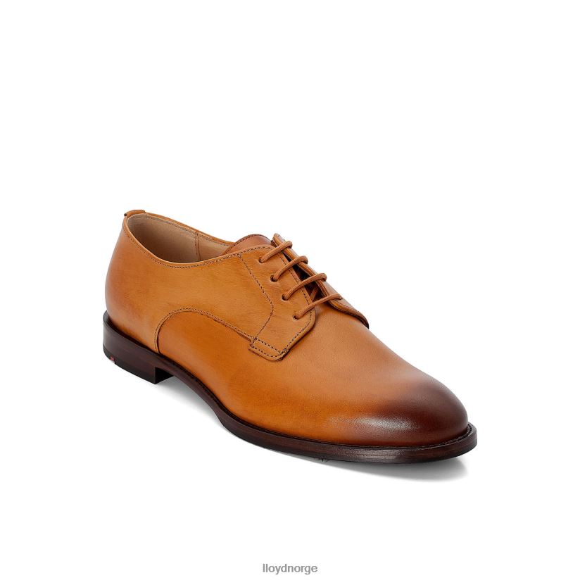 LLOYD snøre halve sko kvinner sko brun 4X82ZP1090