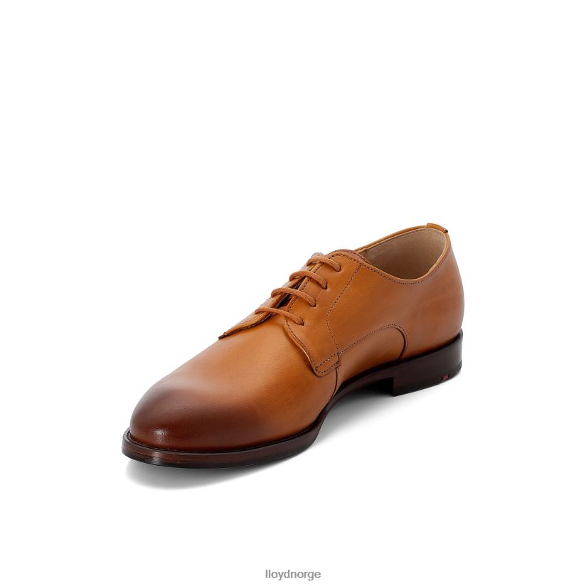 LLOYD snøre halve sko kvinner sko brun 4X82ZP1090
