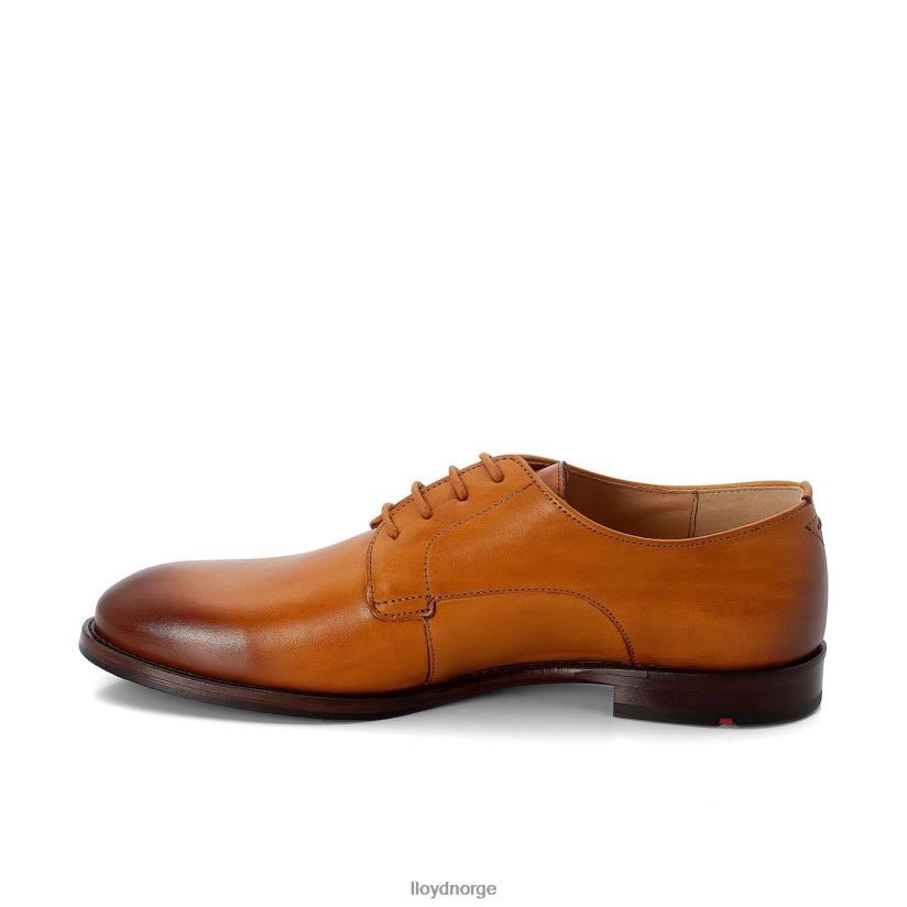 LLOYD snøre halve sko kvinner sko brun 4X82ZP1090