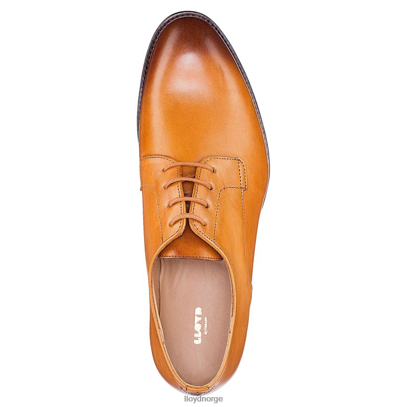 LLOYD snøre halve sko kvinner sko brun 4X82ZP1090