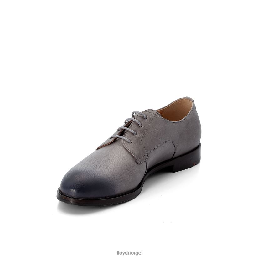 LLOYD snøre halve sko kvinner sko grå 4X82ZP1089