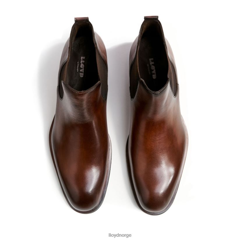 LLOYD speider menn sko brun 4X82ZP239