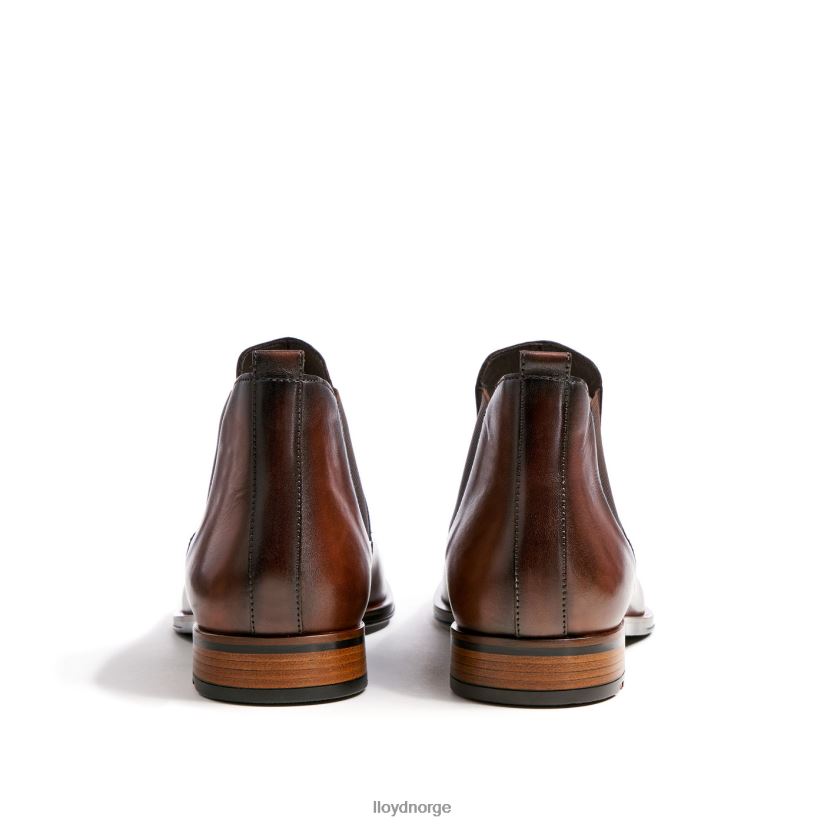 LLOYD speider menn sko brun 4X82ZP239