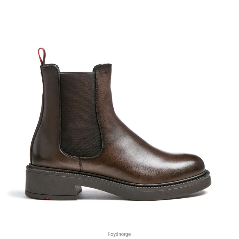 LLOYD sporty ankelstøvel i glatt skinn kvinner sko brun 4X82ZP893