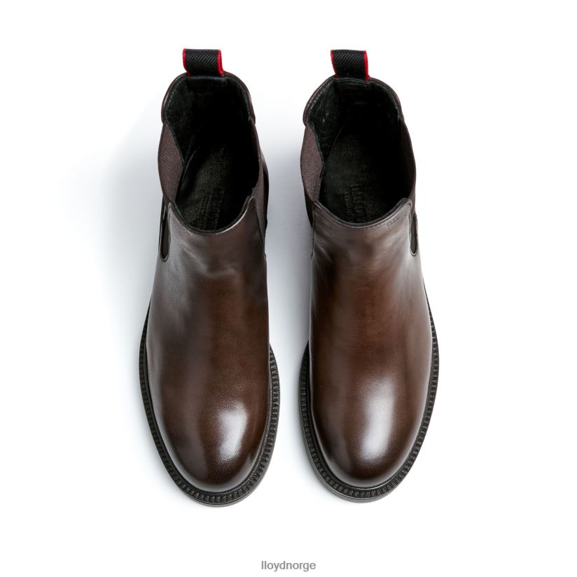 LLOYD sporty ankelstøvel i glatt skinn kvinner sko brun 4X82ZP893