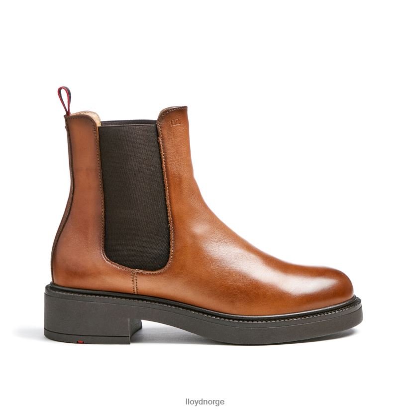 LLOYD sporty ankelstøvel i glatt skinn kvinner sko brun 4X82ZP894