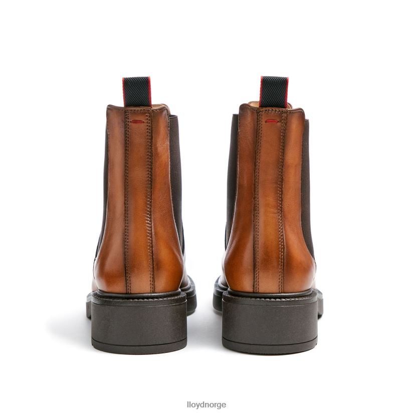 LLOYD sporty ankelstøvel i glatt skinn kvinner sko brun 4X82ZP894