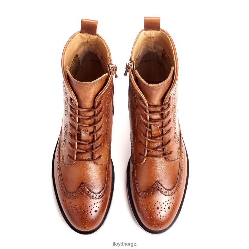 LLOYD sporty ankelstøvel i glatt skinn kvinner sko brun 4X82ZP909