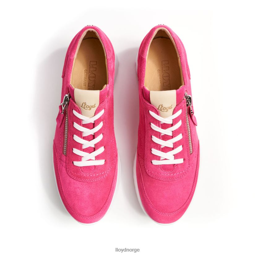 LLOYD sporty sneaker kvinner sko rosa 4X82ZP843