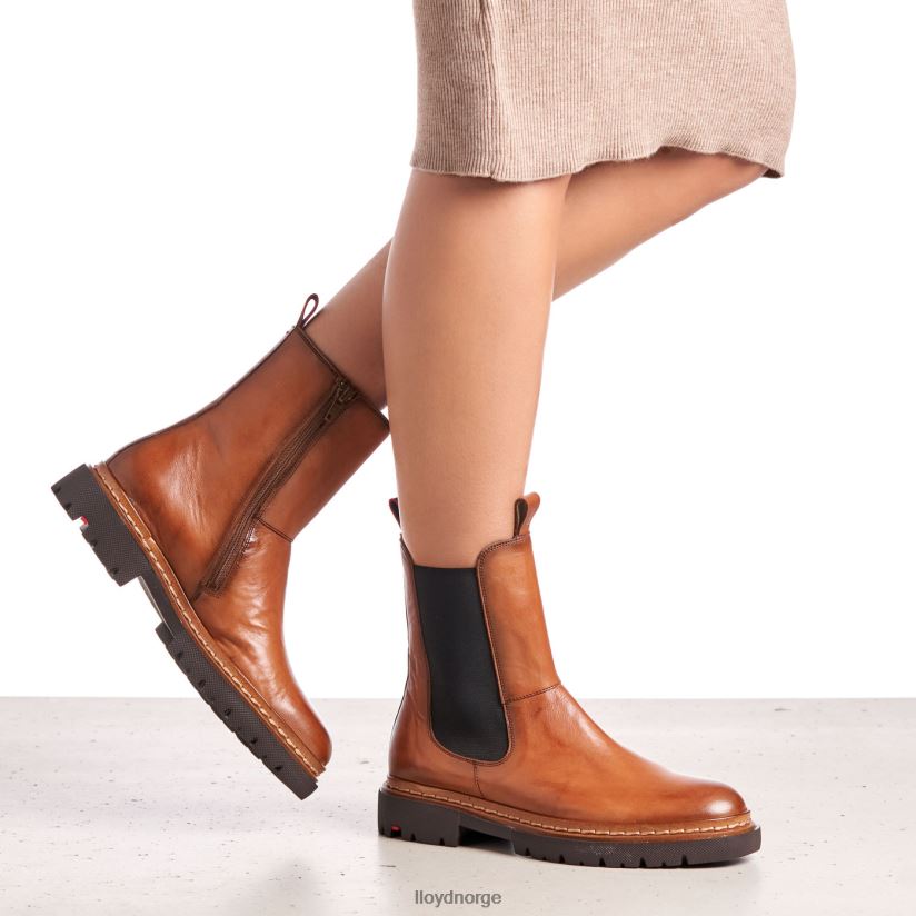 LLOYD stiefelette kvinner sko brun 4X82ZP963