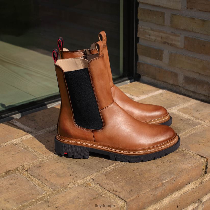 LLOYD stiefelette kvinner sko brun 4X82ZP963