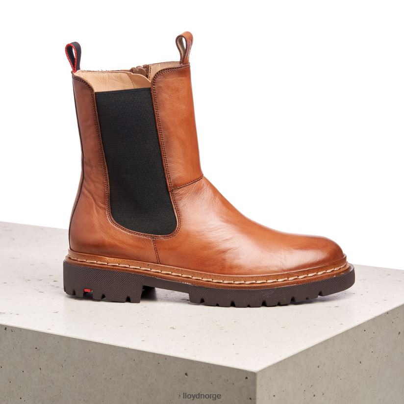 LLOYD stiefelette kvinner sko brun 4X82ZP963