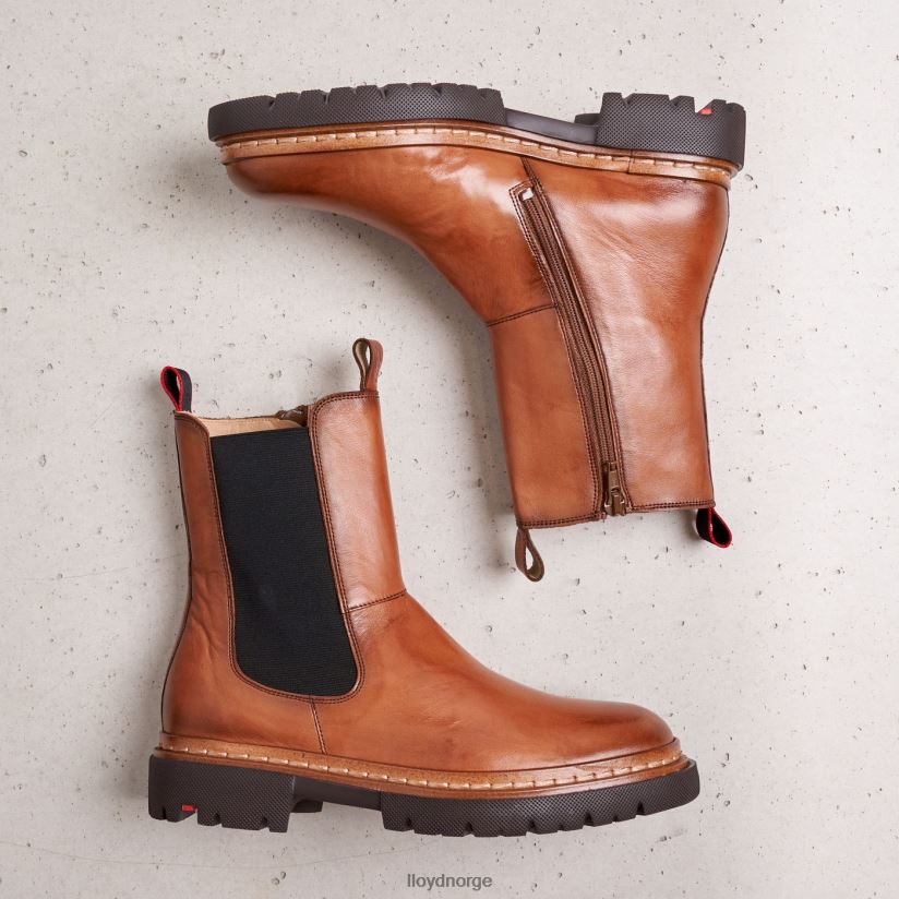 LLOYD stiefelette kvinner sko brun 4X82ZP963