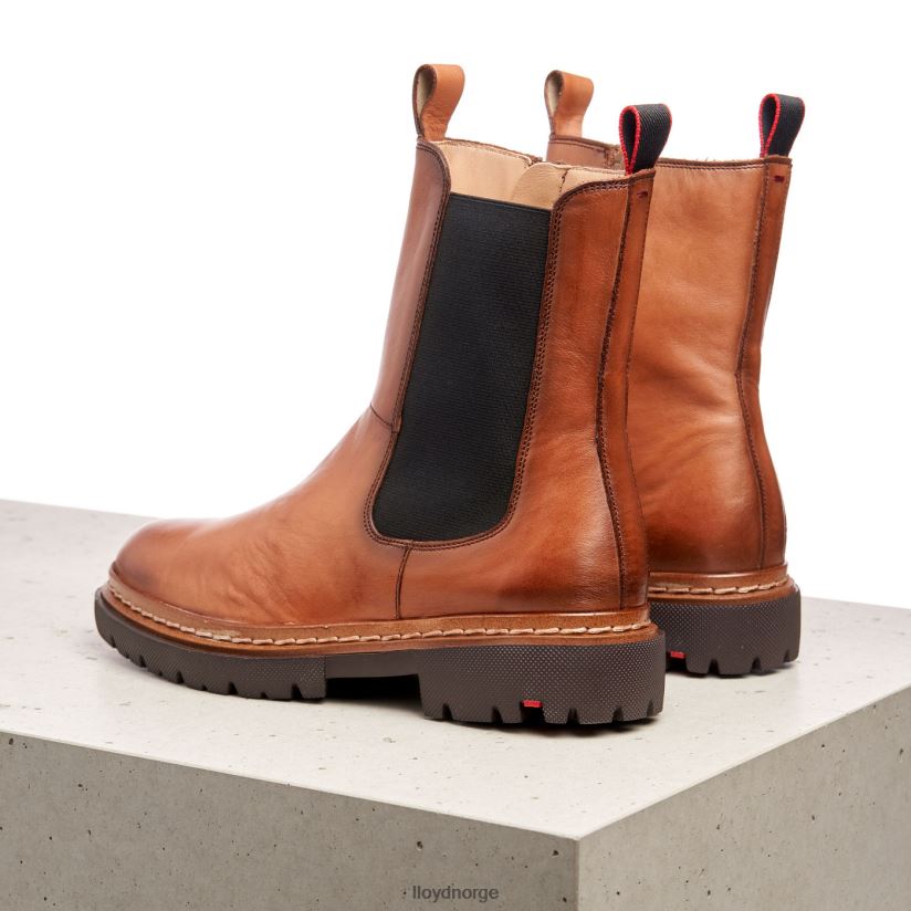 LLOYD stiefelette kvinner sko brun 4X82ZP963