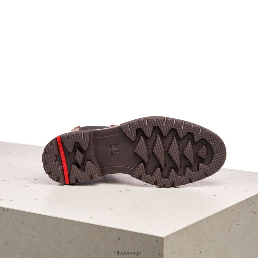 LLOYD stiefelette kvinner sko brun 4X82ZP963