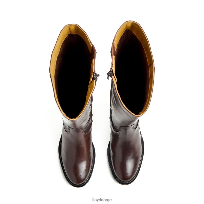 LLOYD støvel kvinner sko brun 4X82ZP1191