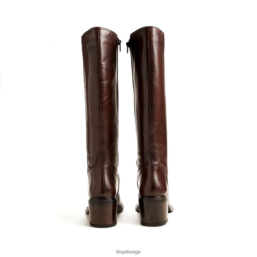 LLOYD støvel kvinner sko brun 4X82ZP1191