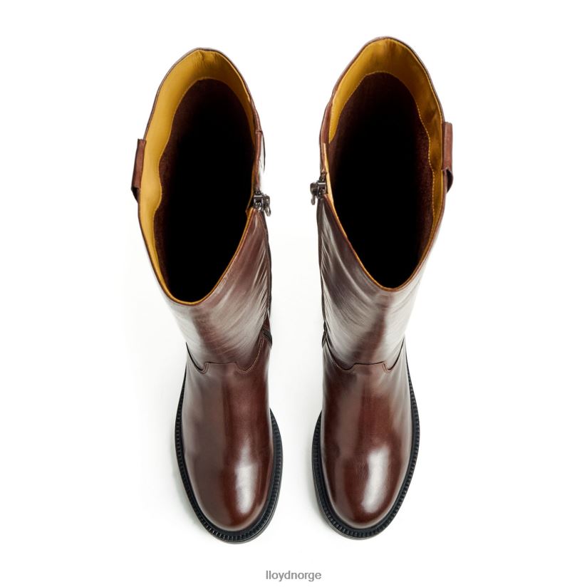 LLOYD støvel kvinner sko brun 4X82ZP1193