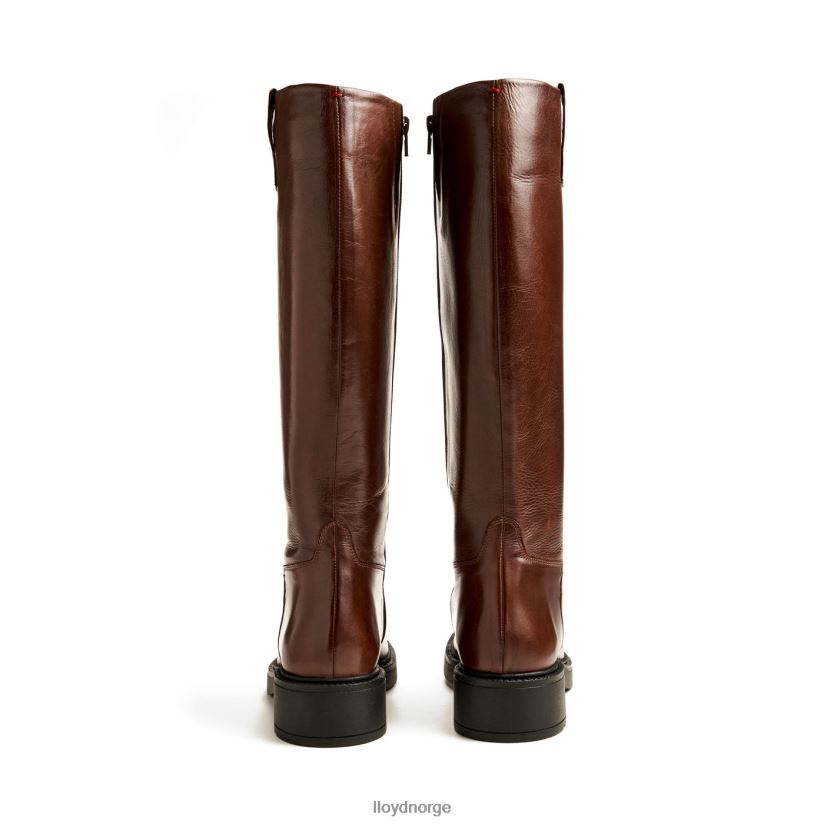 LLOYD støvel kvinner sko brun 4X82ZP1193