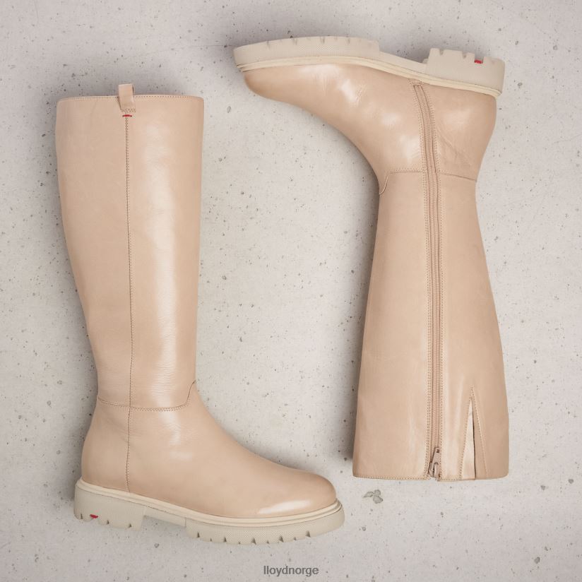 LLOYD støvler kvinner sko beige 4X82ZP1195