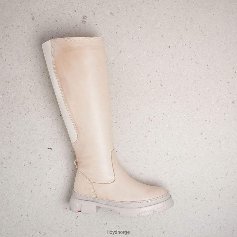 LLOYD støvler kvinner sko beige 4X82ZP1198