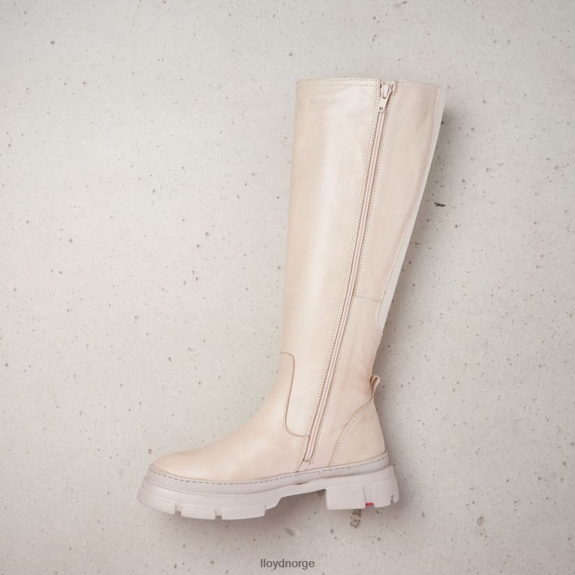 LLOYD støvler kvinner sko beige 4X82ZP1198
