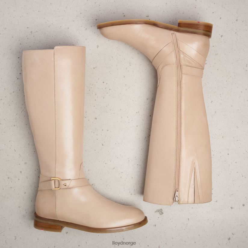 LLOYD støvler kvinner sko beige 4X82ZP1199