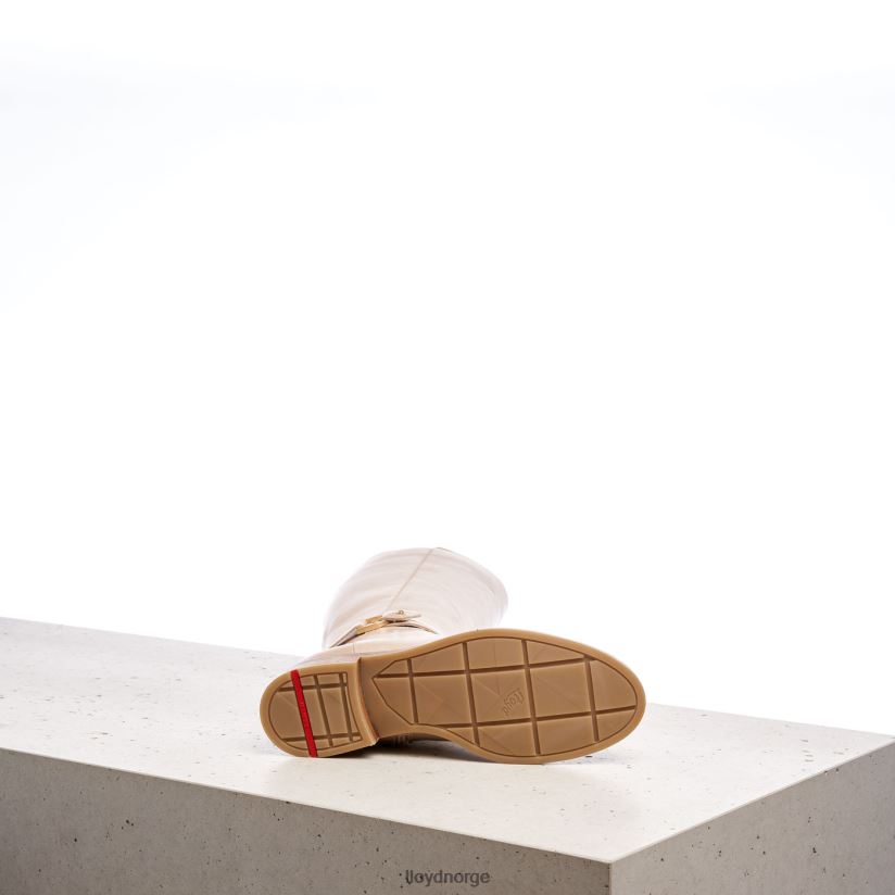 LLOYD støvler kvinner sko beige 4X82ZP1199